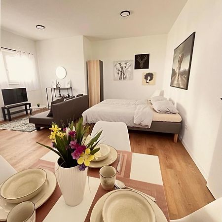 Studio Apartment Albblick Trossingen Bagian luar foto