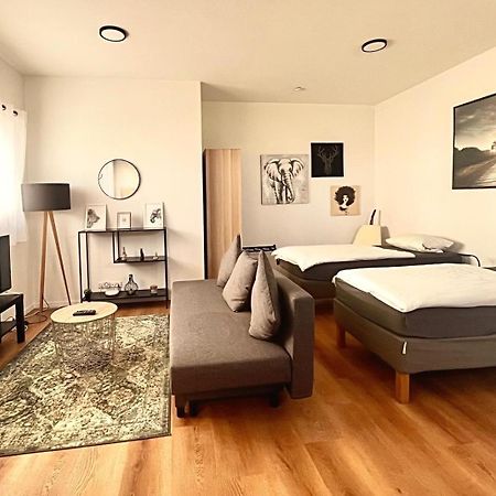 Studio Apartment Albblick Trossingen Bagian luar foto