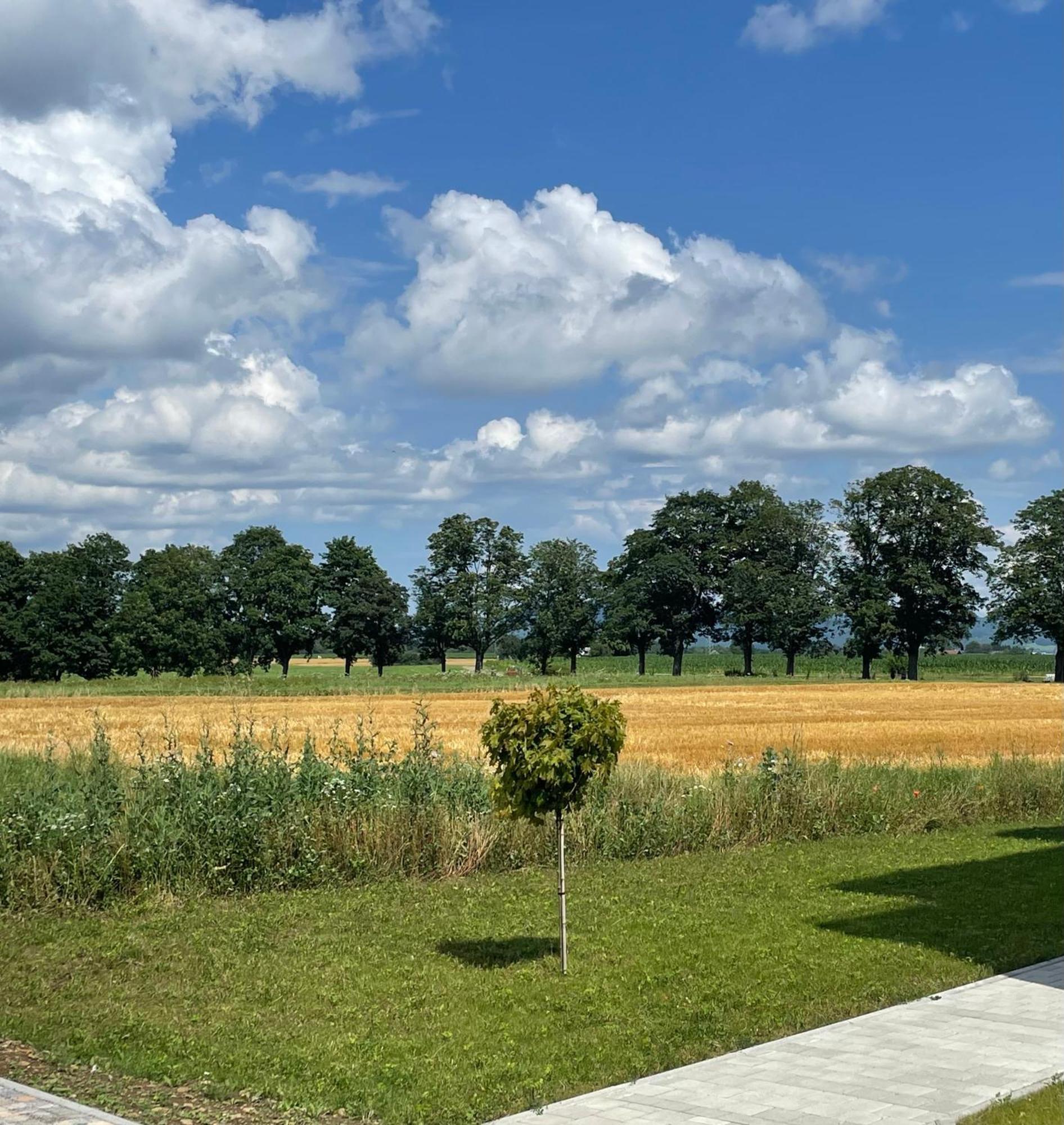 Studio Apartment Albblick Trossingen Bagian luar foto